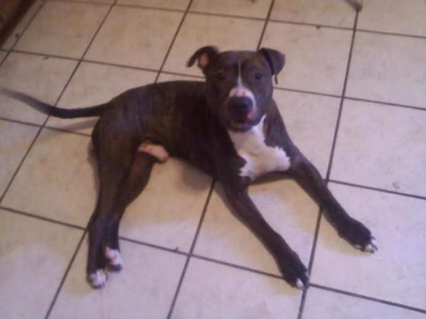 /Images/uploads/Humane Society of Utah/HSUCalendar/entries/630thumb.jpg